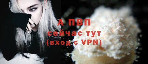 PSILOCYBIN Нефтегорск