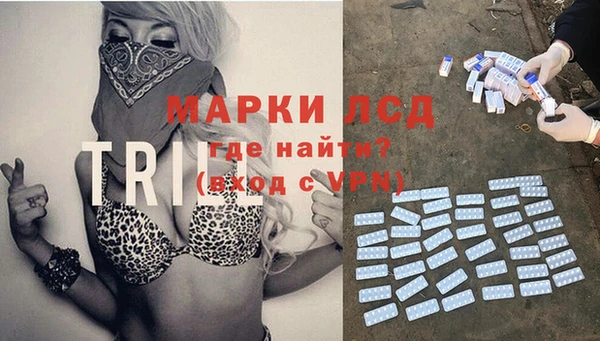 PSILOCYBIN Нефтегорск